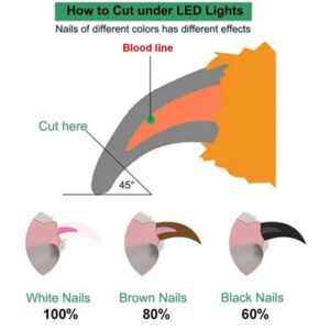 Alternative view of Pet Nail Clippers With LED Light - Dog & Cat Nail Scissors, Professional Trimmer Tool
