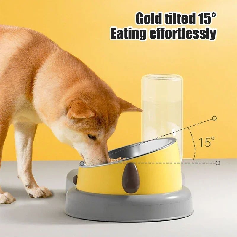 Pet Feeder Bowls & Water Bottle Set - 2-in-1 Feeding and Drinking Dispenser, 15-Degree Tilt Design - Image 2