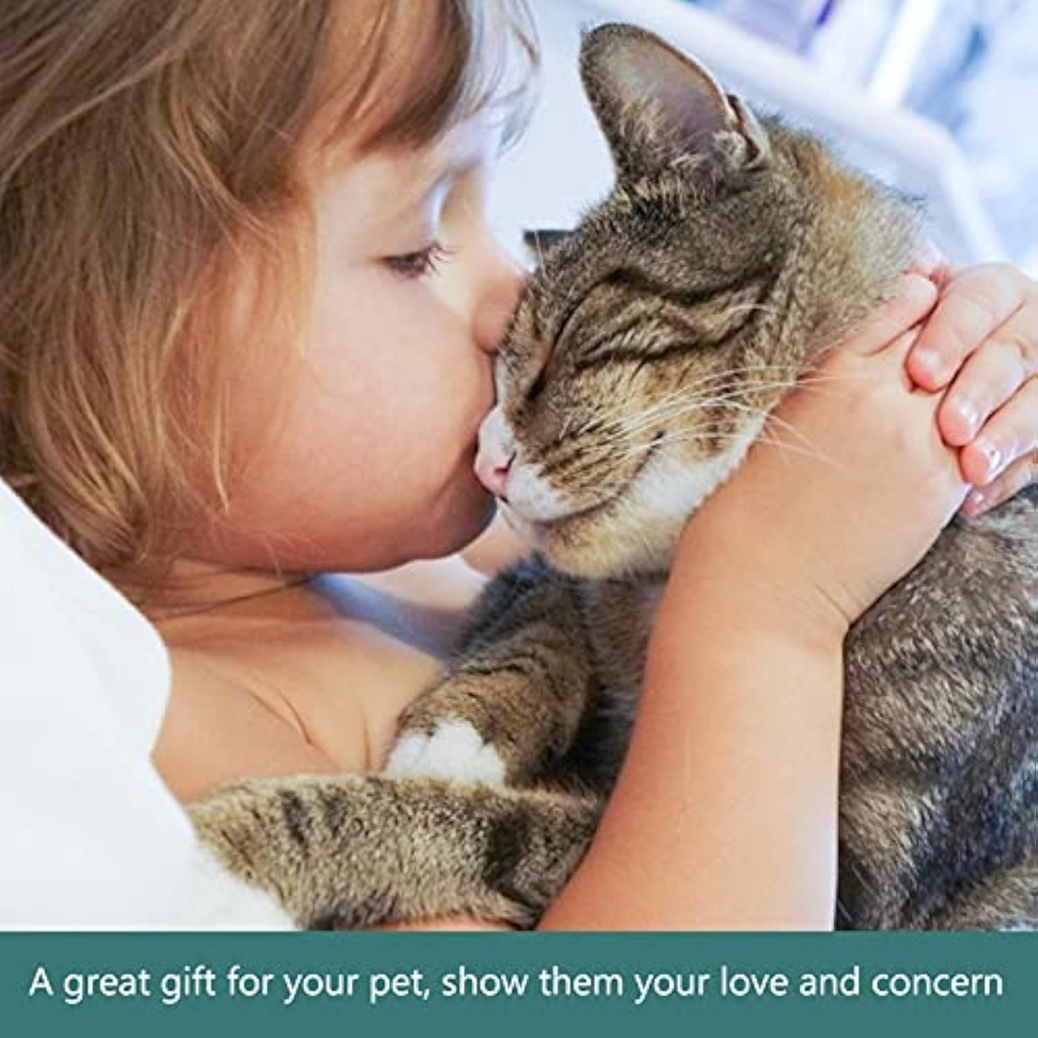Pet Slow Feeding Bowl & Automatic Water Dispenser Set - Detachable Water Tray, Green - Image 4