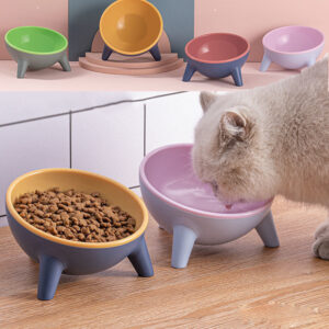 Cat Dog Bowl With Stand - Pet Feeding Food Bowl, Nordic Colour Feeder