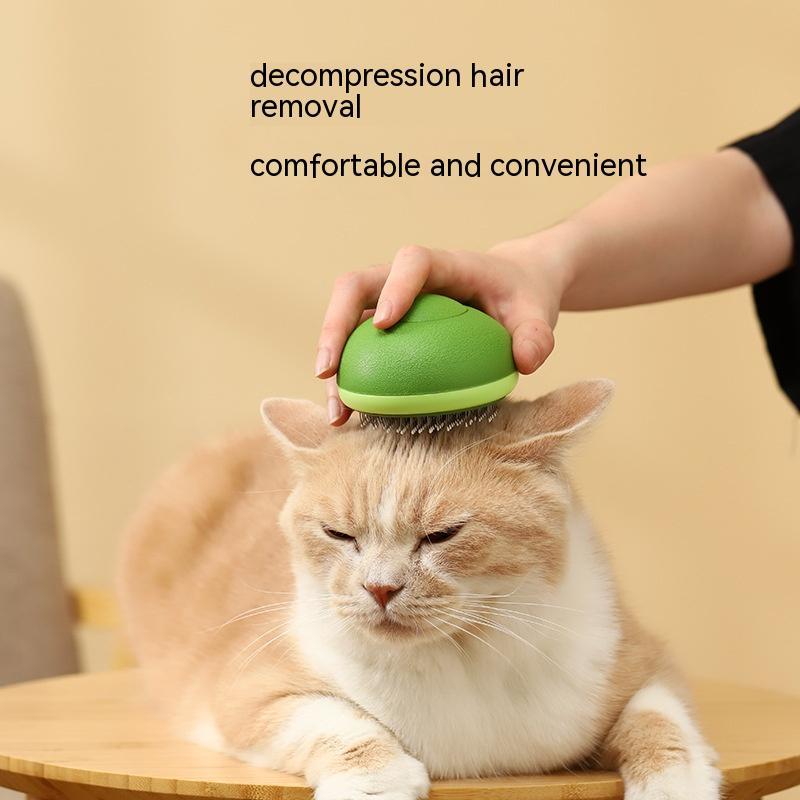 PET Hair Remover